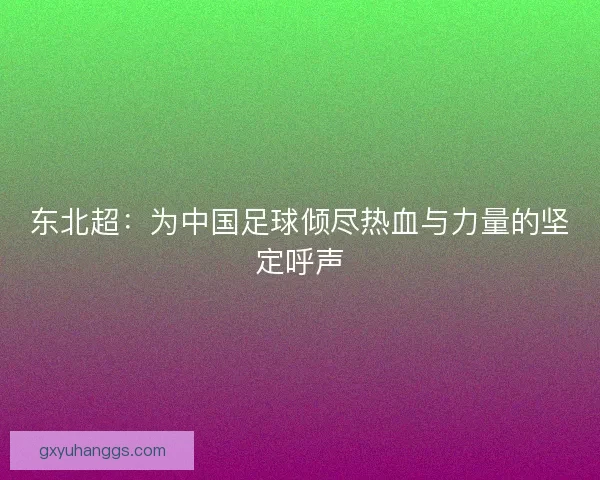 东北超：为中国足球倾尽热血与力量的坚定呼声